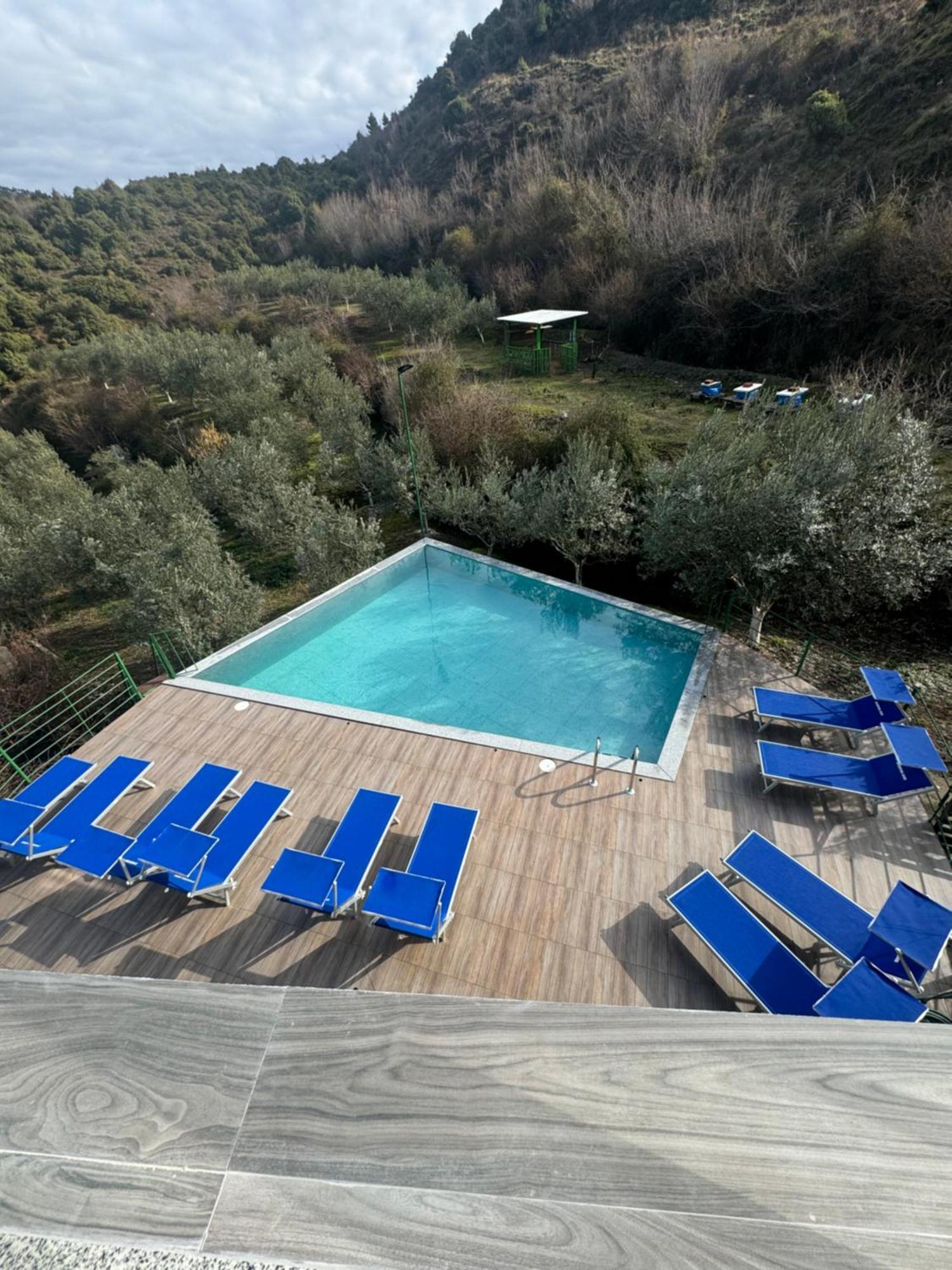 Qyteza Guest House & Camping Shkodër Esterno foto